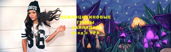 экстази Алексин