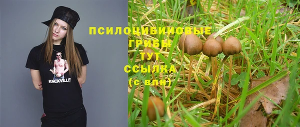 трава Алзамай