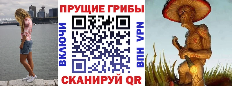 Галлюциногенные грибы Magic Shrooms  Сарапул 