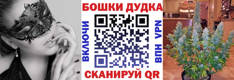 Конопля сатива Сарапул